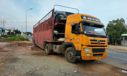 vận chuyển ô tô